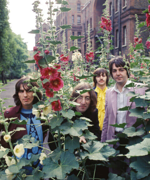 The Beatles Universal music